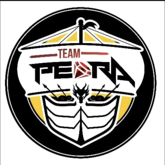 Logo Team Pedra